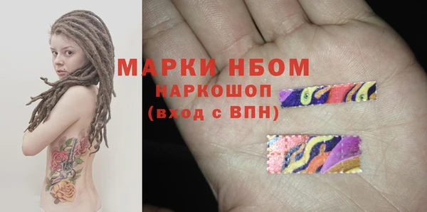сатива Новокубанск