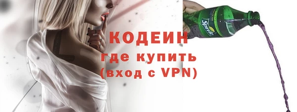прущий лед Новозыбков