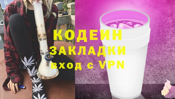 стаф Няндома