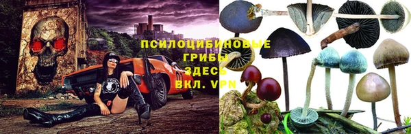 прущий лед Новозыбков