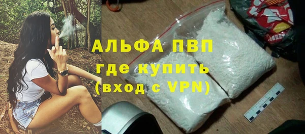 сатива Новокубанск