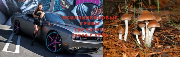 гашиш Новодвинск