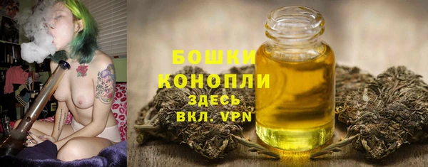 сатива Новокубанск