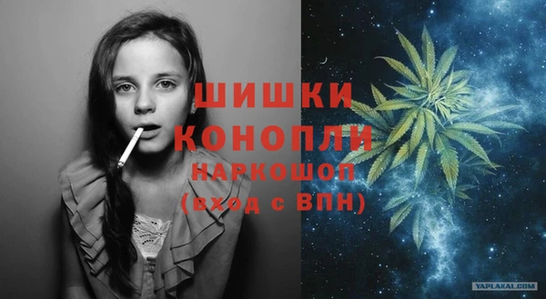 сатива Новокубанск