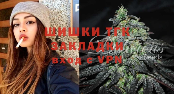 прущий лед Новозыбков