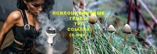 сатива Новокубанск