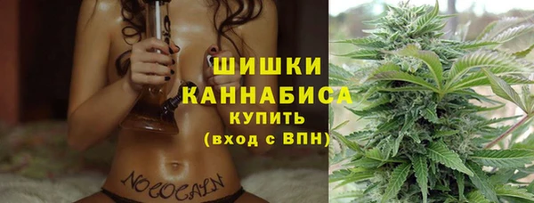 прущий лед Новозыбков